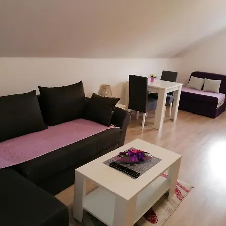 Studio apartman Vasić Villa Banja Koviljača