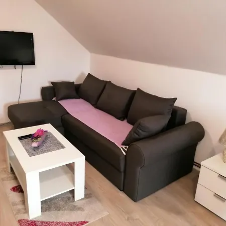 Studio apartman Vasić Banja Koviljača