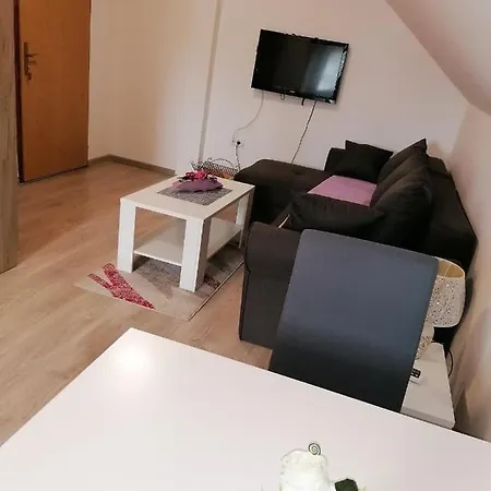 Villa Studio apartman Vasić