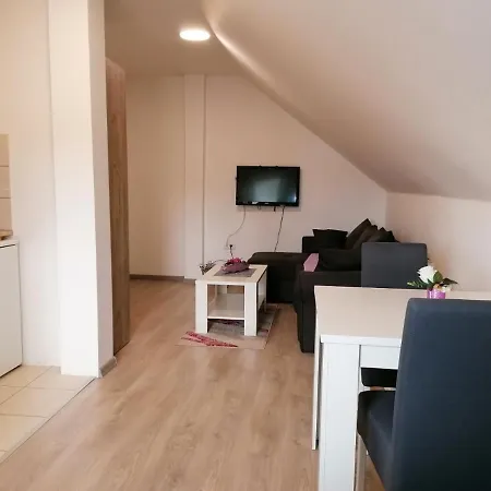 Studio apartman Vasić Villa