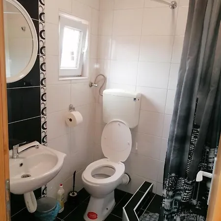 Studio apartman Vasić Villa Banja Koviljača